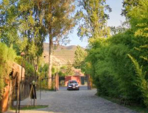 img06